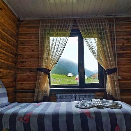 Altyn Arashan Guesthouse Bagian luar foto
